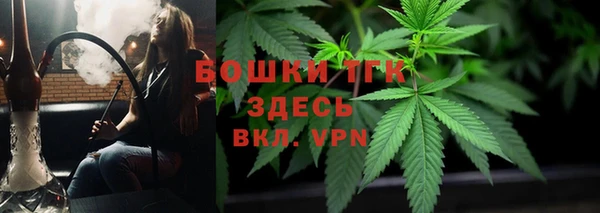 гидра Зеленокумск