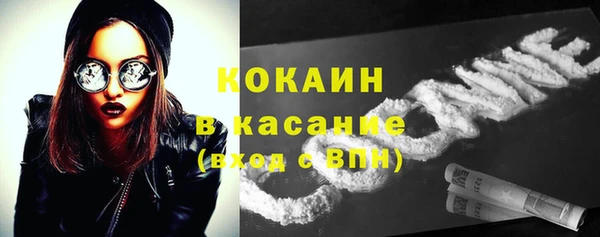 гидра Зеленокумск