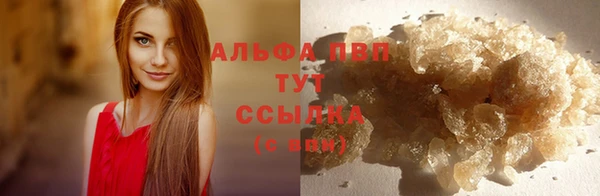 гидра Зеленокумск