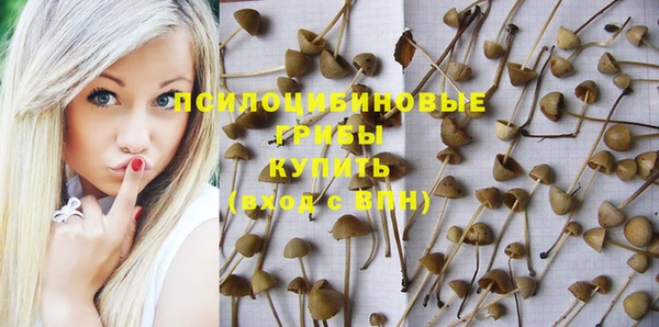 гидра Зеленокумск