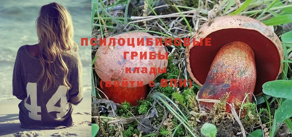 гидра Зеленокумск