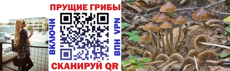 Псилоцибиновые грибы Magic Shrooms Талдом